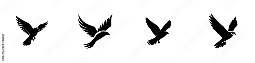 Obraz premium Different bird shapes in flight with no details about specific