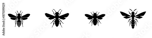 Various bee silhouettes showing different species against a plain