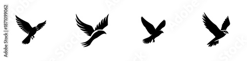Different bird shapes in flight with no details about specific