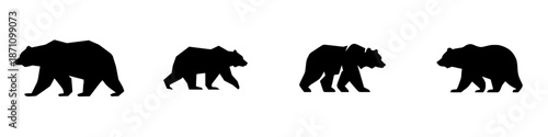 Different sizes of bears walking in a sequence showing growth and