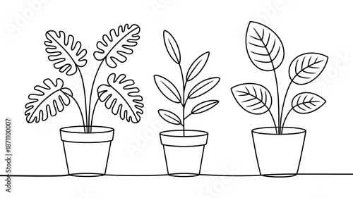 Collection of three distinct potted plants illustrated in a continuous line art style