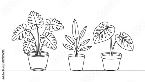 A continuous line drawing illustration of three different potted houseplants