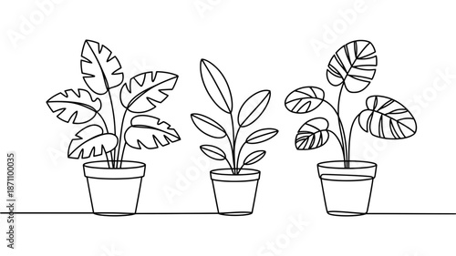 Minimalist continuous line art drawing of three various potted house plants