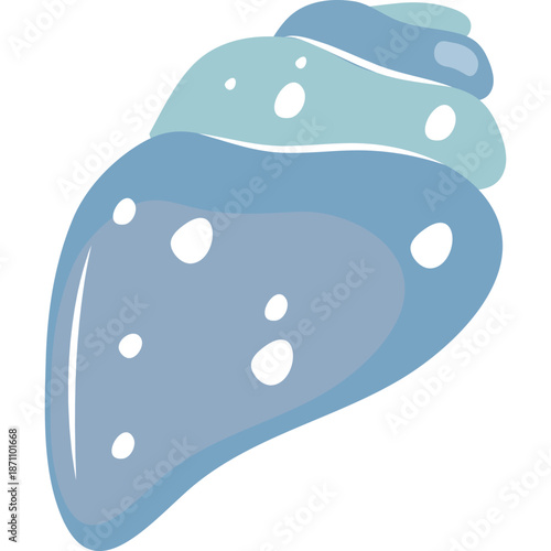Blue seashell illustration