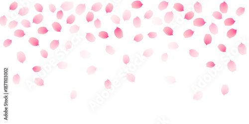 Sakura cherry petals, pink apricot flowers falling border. Vector background