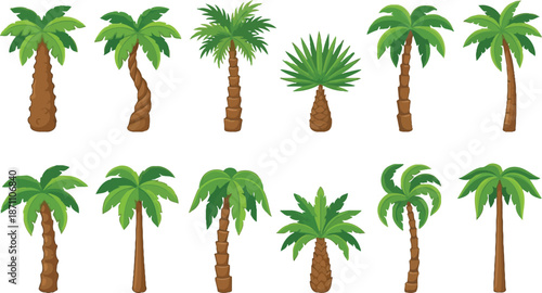 Set of palm tree vector, hand drawn palm tree doodle element set, palm trees for posters, retro tropical coconut trees, palm tree vector illustration on white background
