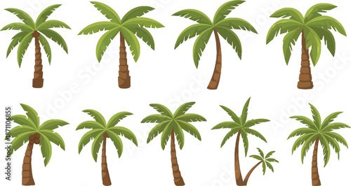 Set of palm tree vector, hand drawn palm tree doodle element set, palm trees for posters, retro tropical coconut trees, palm tree vector illustration on white background