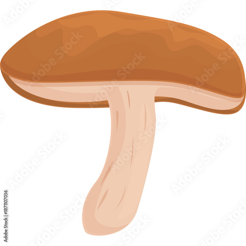 Brown Mushroom Illustration