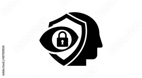 Protecting sensitive information with secure data shield and lock