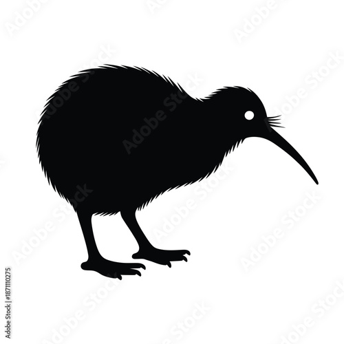 Silhouette of a kiwi bird a flightless new zealand native species