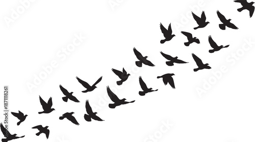 Black silhouette of a flock of birds flying in formation against a white background, migratory pigeons or doves soaring in the sky,
