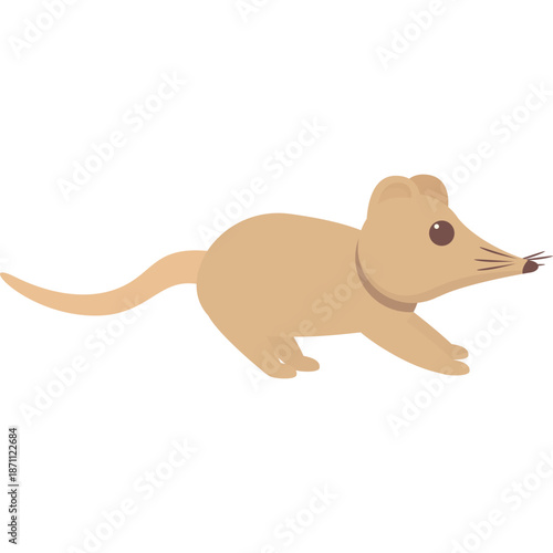 Cartoon Shrew Animal