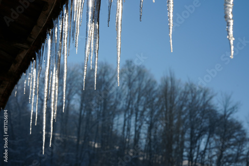 Row of icicles hanging from a green corrugated roof in winter sunshine