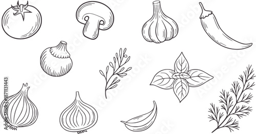 Hand drawn line collection of fresh vegetables and herbs tomato mushroom 1 garlic