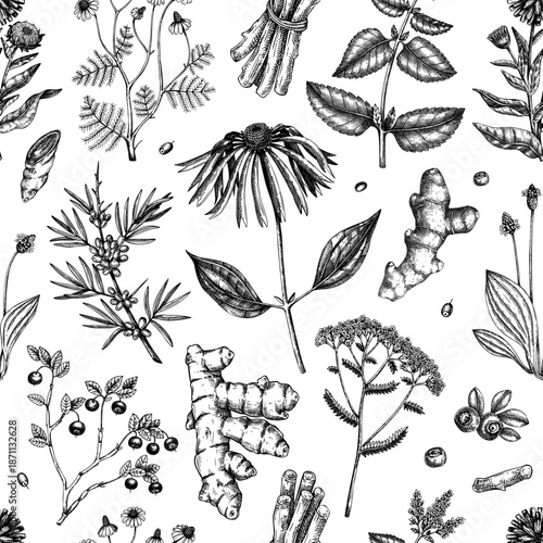 Medicinal plant background design. Vintage apothecary seamless pattern. Vector herbs, roots, berries hand drawn botanical illustrations. NOT AI generated 