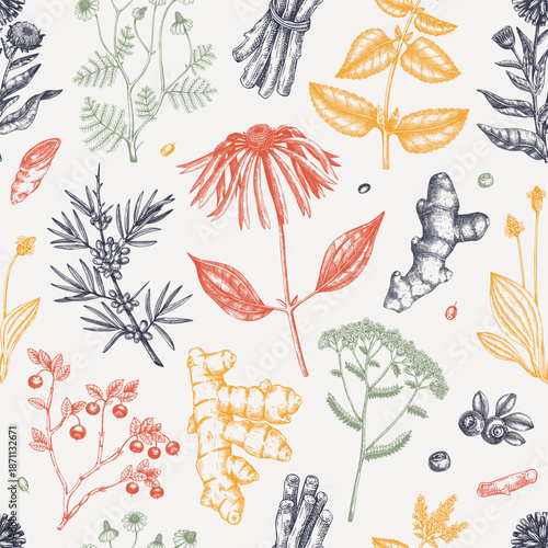 Medicinal plant background design. Vintage apothecary seamless pattern. Vector herbs, roots, berries hand drawn botanical illustrations. NOT AI generated 