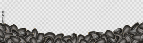 A horizontal frame with sunflower seeds, isolated on a transparent background. Frame for food packaging design