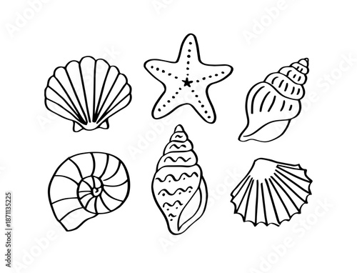 Hand Drawn Seashell and Starfish Doodle Icons Set. Marine Shell Sketch Collection, Ocean Beach Summer Symbols. Black Outline Illustration Isolated on Background. Natural Graphic Elements Clipart
