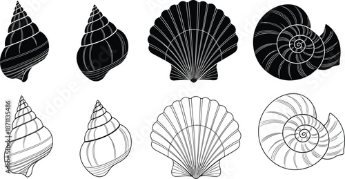 Seashell silhouettes and line art set, spiral and scallop shells collection, marine nature elements, black and white coastal vector illustration