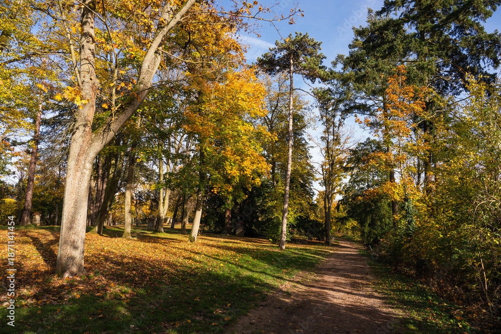 Obraz premium Rochusberg Bingen, Herbst 2025