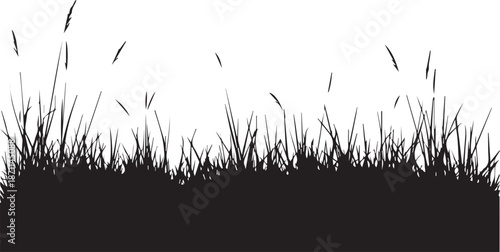 Silhouette of tall grass