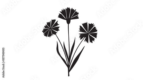 Three black carnation flowers with leaves on transparent background silhouette