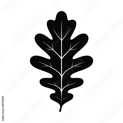 Black silhouette of an oak leaf on a white background