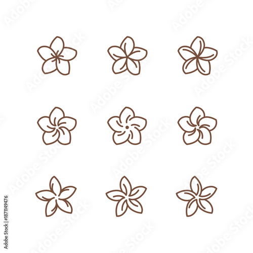 Plumeria flower. Different types of flower. Flat line vector illustration.