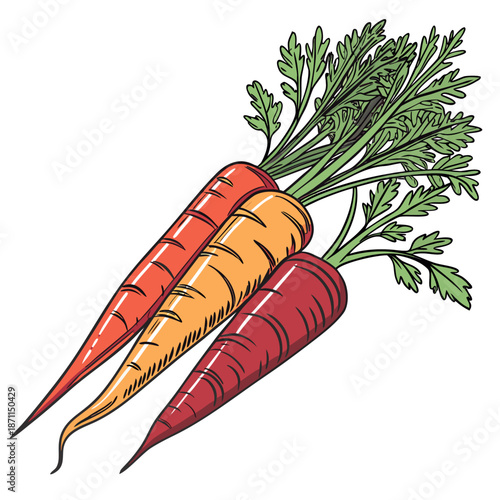 Colorful carrots with green leaves vibrant carrots