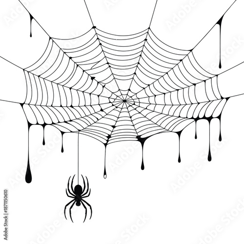 Black spider hanging from a large intricate spider web