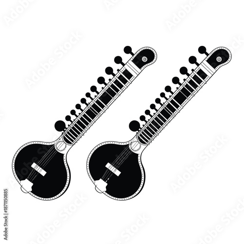 Two traditional indian stringed musical instruments side by side