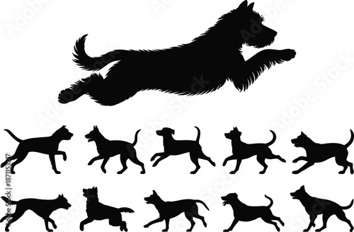 Silhouette of a dog running and jumping, various movement poses, playful pet activity, energetic dog, dog agility, joyful canine, outdoor dog exercise