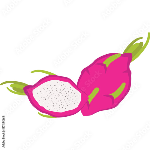 Dragon Fruit Illustration
