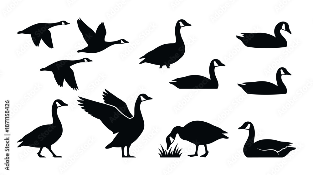 Fototapeta premium Geese silhouettes flying, walking, and swimming icons