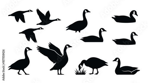 Geese silhouettes flying, walking, and swimming icons