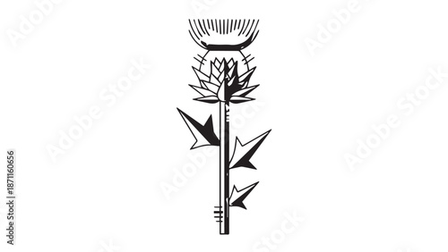 Monochrome botanical illustration of a tall stem with leaves and a seedhead at the top.