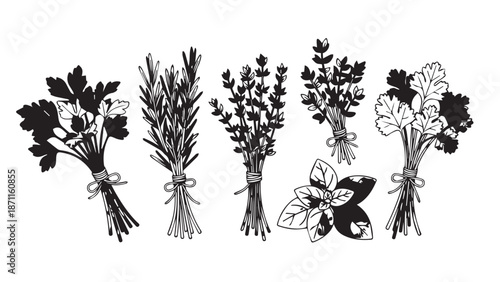 Herbal bouquet illustration featuring assorted dried herbs and leaves arranged in a line.