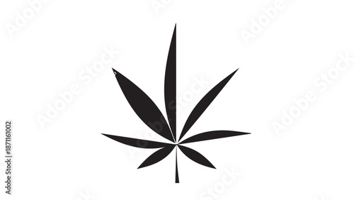 Black cannabis leaf silhouette on white background, botanical plant symbol.