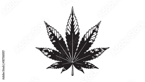Monochrome Cannabis Leaf Silhouette Highlighting Botanical Form.