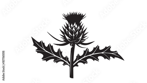 A detailed black and white silhouette illustration of a tall thistle plant with spiky leaves and bloom.