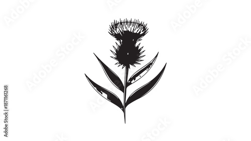 Elegant black silhouette of a solitary floral stem with a spherical bloom.