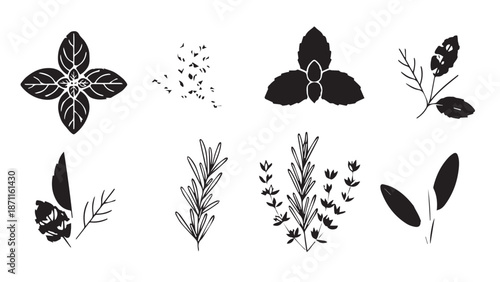 Assorted botanical silhouettes of leaves, sprigs, and stems arranged in a decorative pattern.