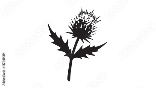 Minimalist silhouette of a prickly thistle plant with spiky bloom against white background.