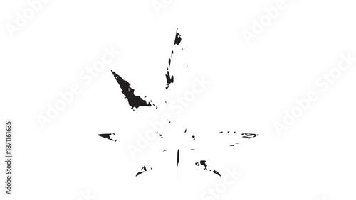 Abstract black ink splash with radial rays creating a starburst pattern.