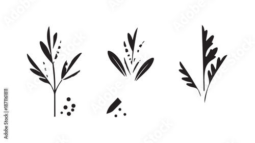 Minimalist black and white botanical stems and leaves illustration featuring delicate branches and buds.