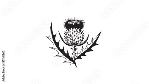 Monochrome thistle emblem featuring a central blossom with spiky leaves and ornate silhouette design.
