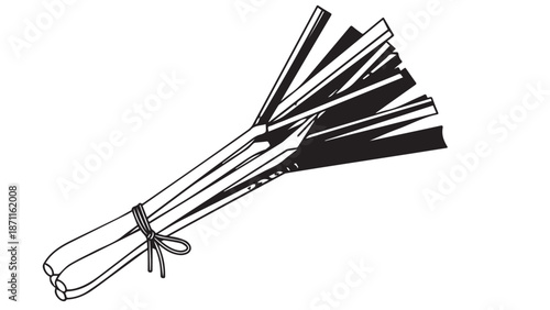 Traditional handheld broom tied with string lying on a white background, showcasing a rustic cleaning tool.