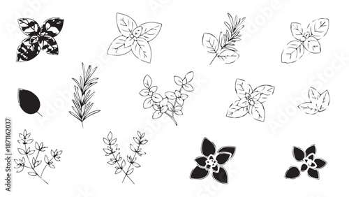 Assorted black and white butterfly sketches scattered in a delicate composition.