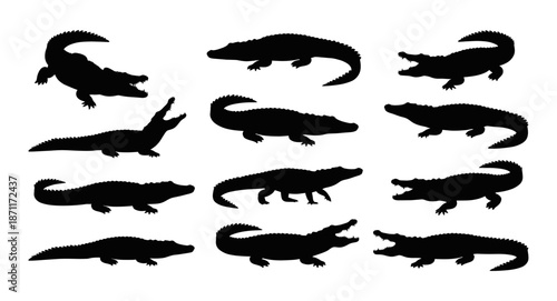 Alligator and crocodile silhouettes set on white background