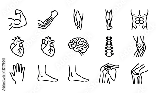 Human body anatomy outline icons set
